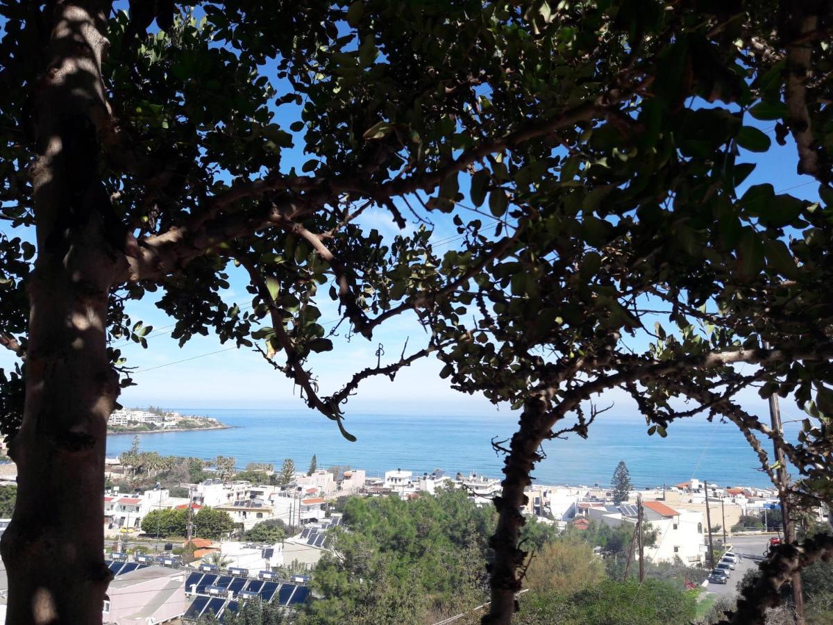 Minois Boutique Hotel (Adults Only) Stalida Dış mekan fotoğraf